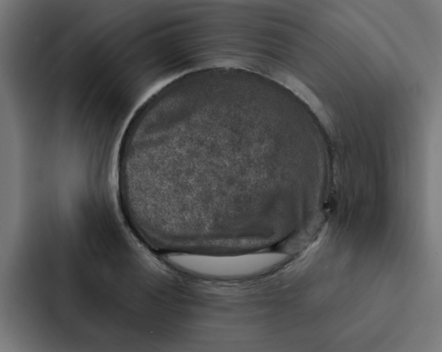 X0000087331028200705112153