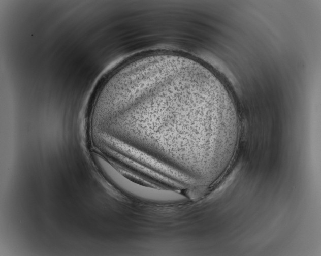 X0000087331029200705112153