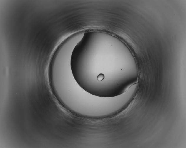X0000087331030200705112153
