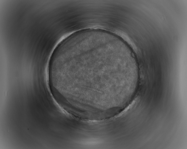 X0000087331032200705112153