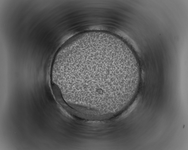 X0000087331033200705112153