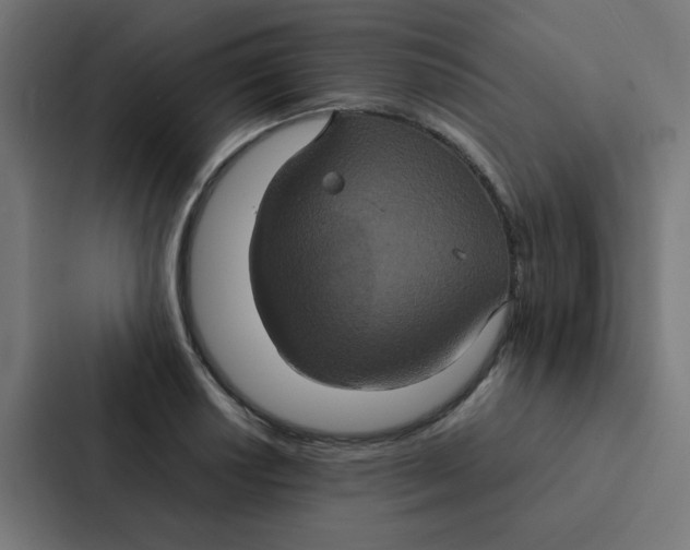 X0000087331034200705112153