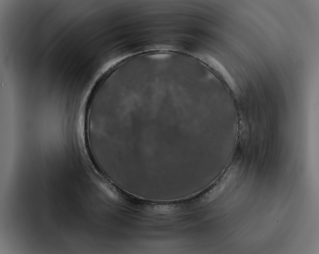 X0000087331035200705112153