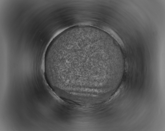 X0000087331036200705112153