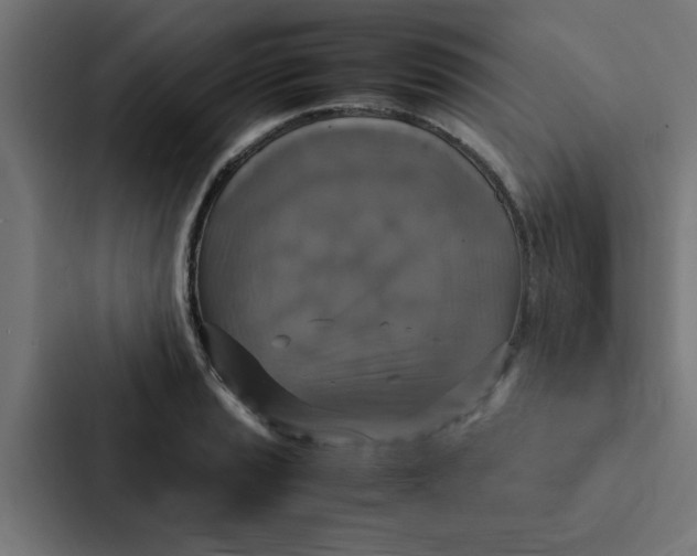 X0000087331037200705112153