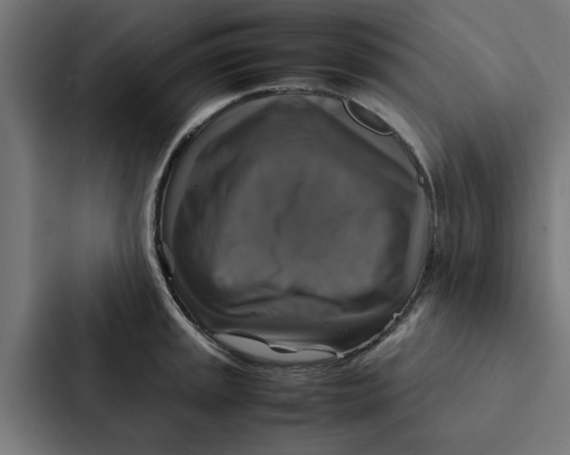 X0000087331045200705112153