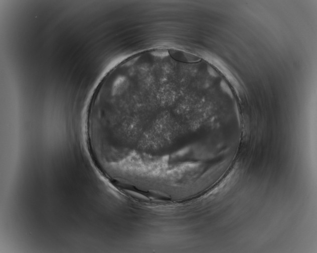 X0000087331048200705112153