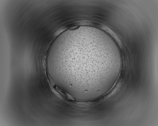X0000087331049200705112153