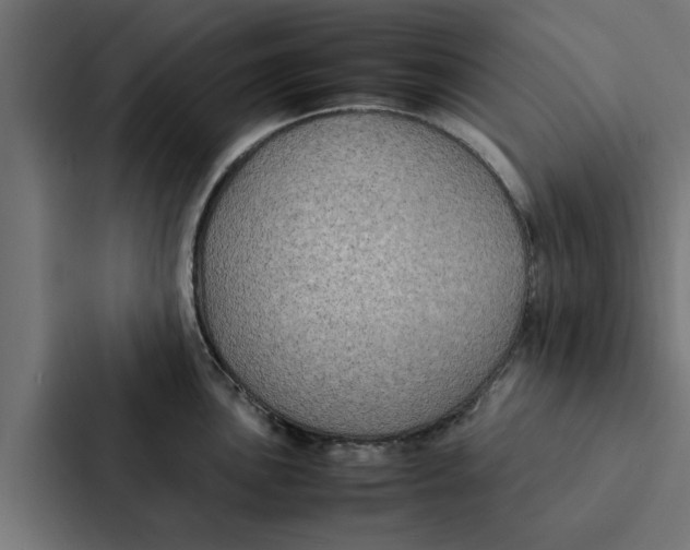 X0000087331051200705112153