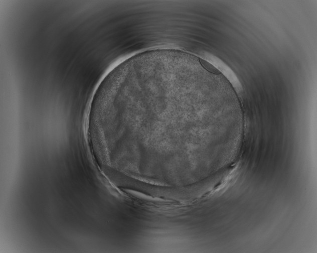 X0000087331052200705112153