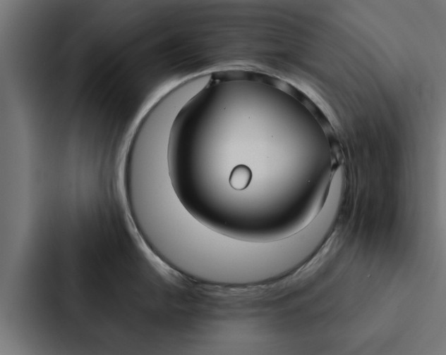 X0000087331054200705112153