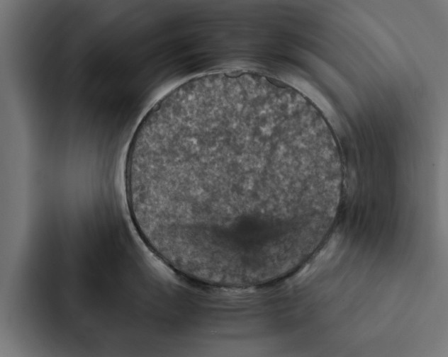 X0000087331055200705112153