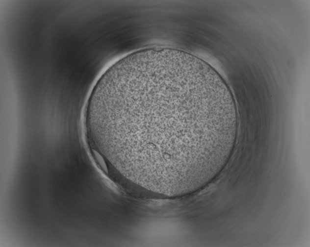 X0000087331056200705112153