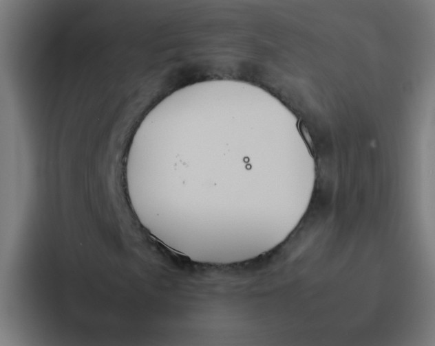 X0000087331057200705112152