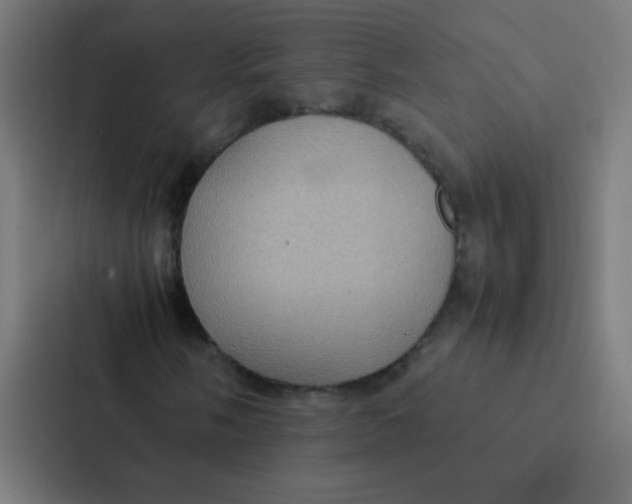 X0000087331058200705112152