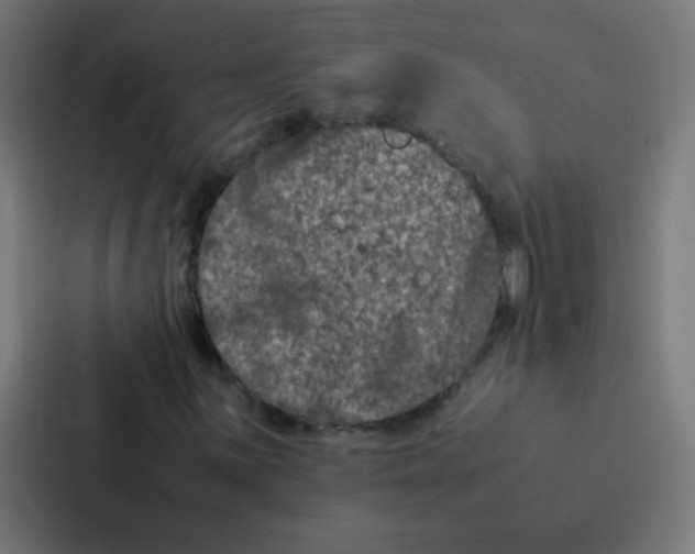 X0000087331059200705112152