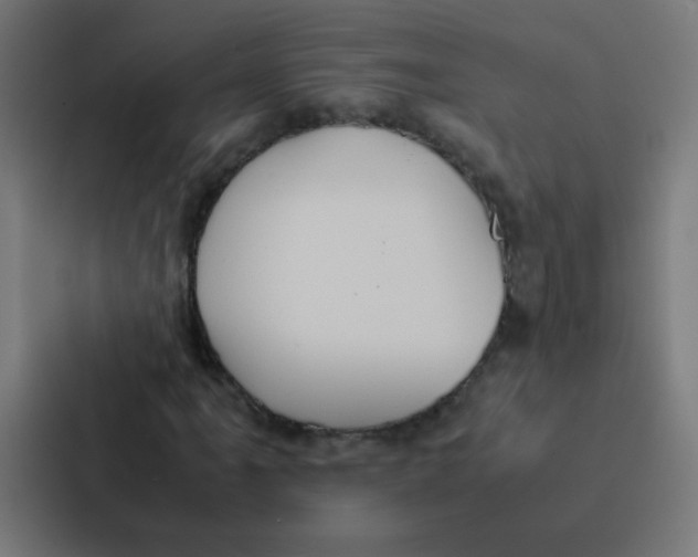 X0000087331061200705112152