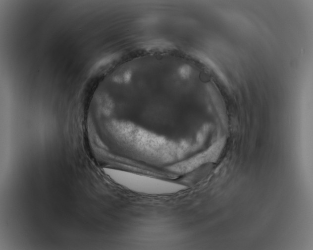 X0000087331063200705112152