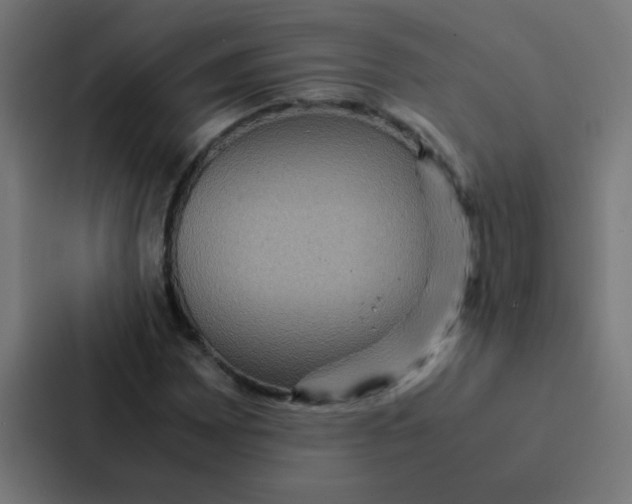 X0000087331065200705112152