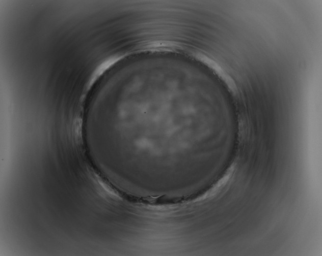 X0000087331066200705112152
