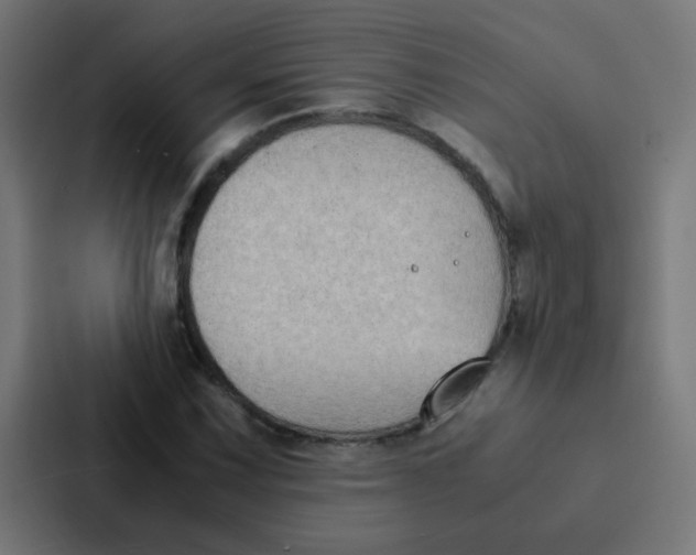 X0000087331067200705112152