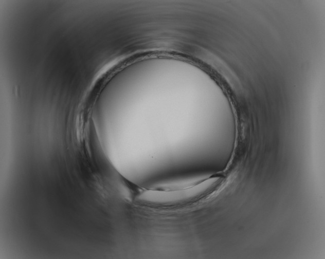 X0000087331069200705112152