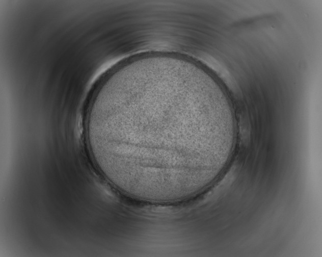 X0000087331070200705112152