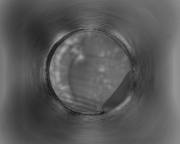 X0000087331071200705112152