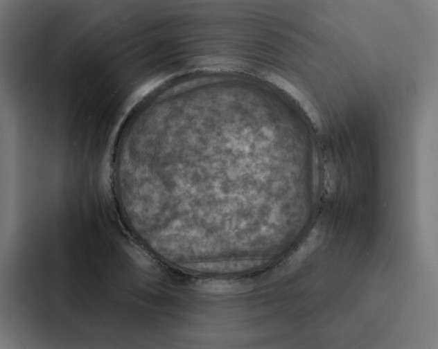 X0000087331074200705112152