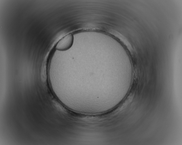 X0000087331075200705112152