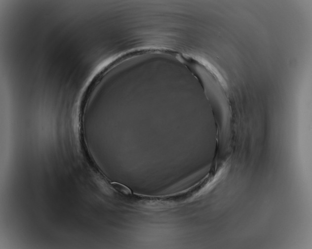 X0000087331077200705112152