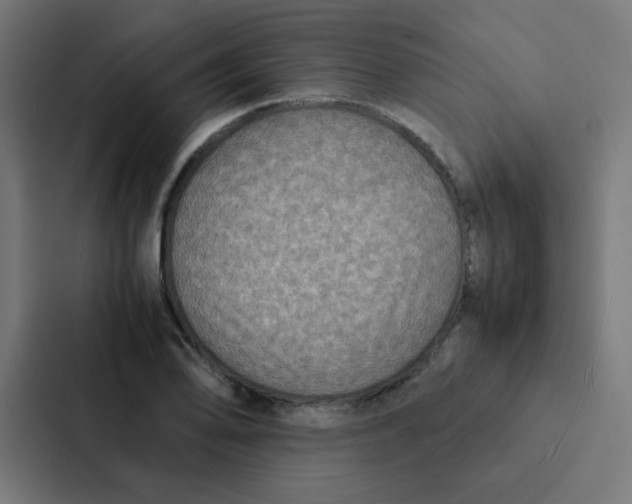 X0000087331078200705112152