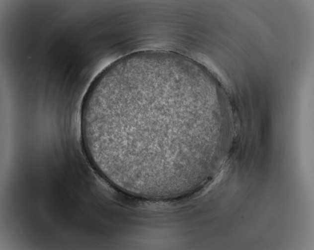 X0000087331079200705112152