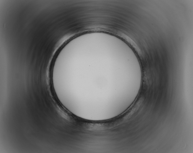 X0000087331082200705112152