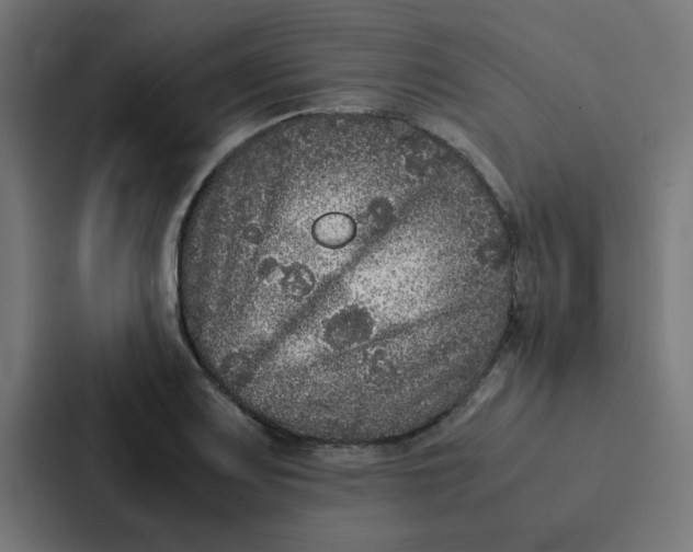 X0000087331083200705112152