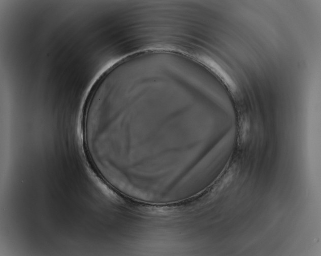 X0000087331084200705112152