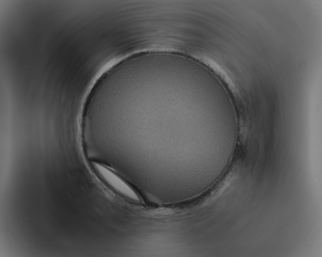 X0000087331085200705112152