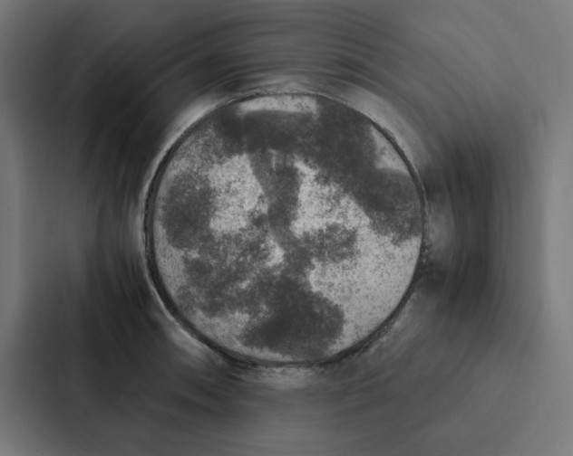 X0000087331090200705112152