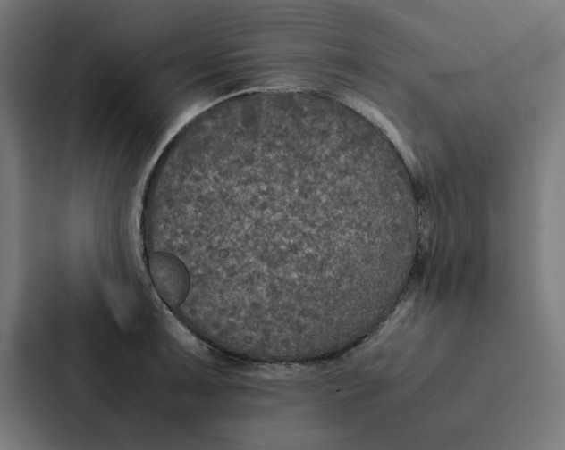 X0000087331091200705112152
