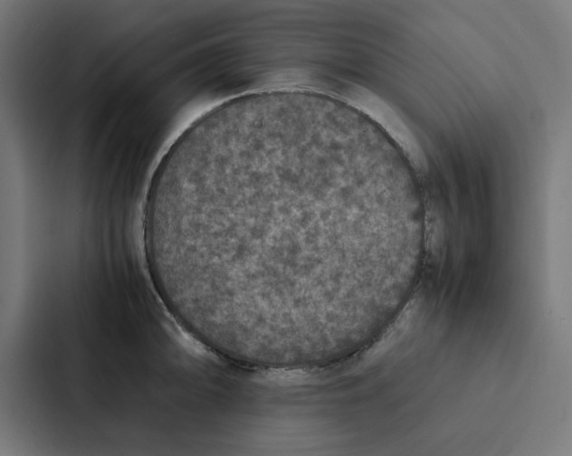 X0000087331094200705112152