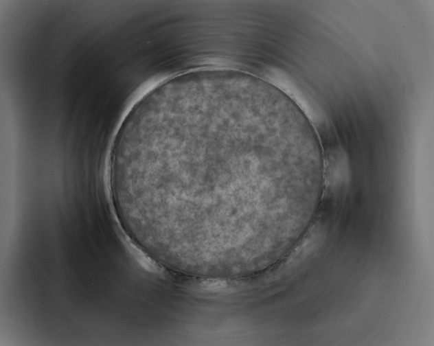 X0000087331098200705112152