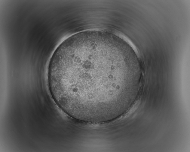 X0000087331099200705112152