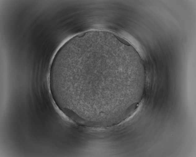 X0000087331100200705112152