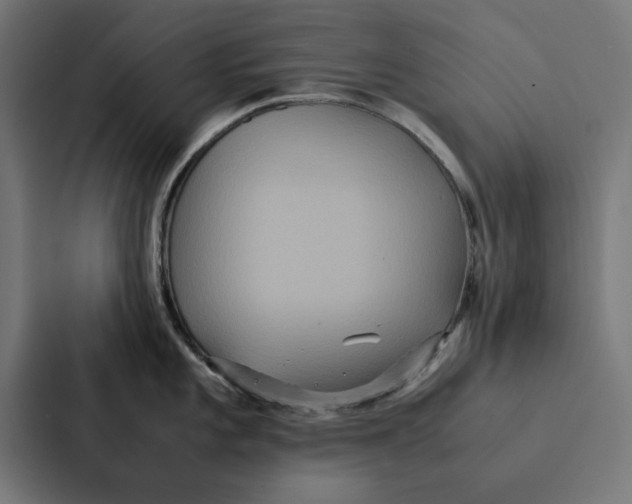 X0000087331101200705112152