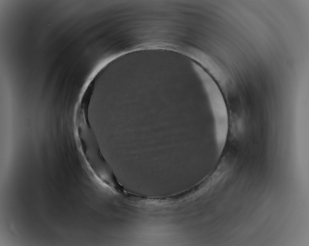 X0000087331102200705112152