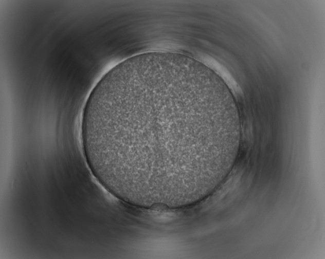 X0000087331103200705112152