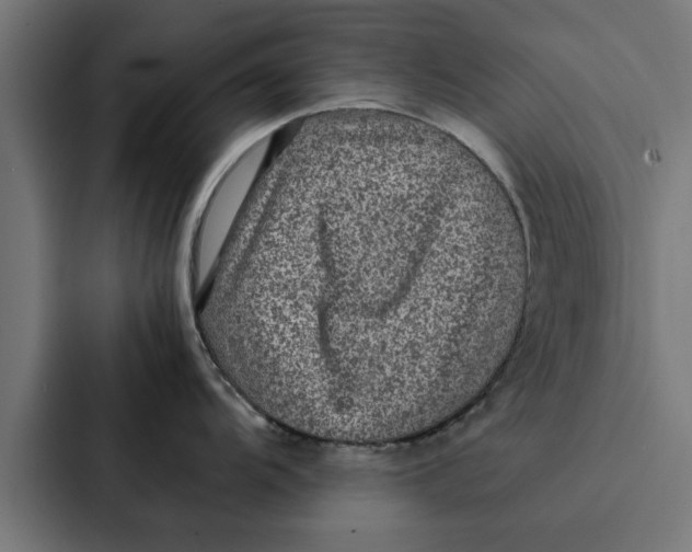 X0000087331104200705112152