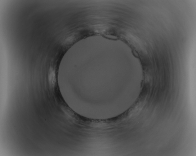 X0000087331106200705112151