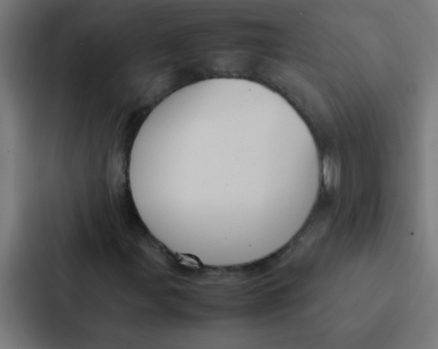 X0000087331107200705112151