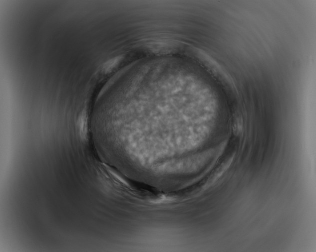 X0000087331108200705112151